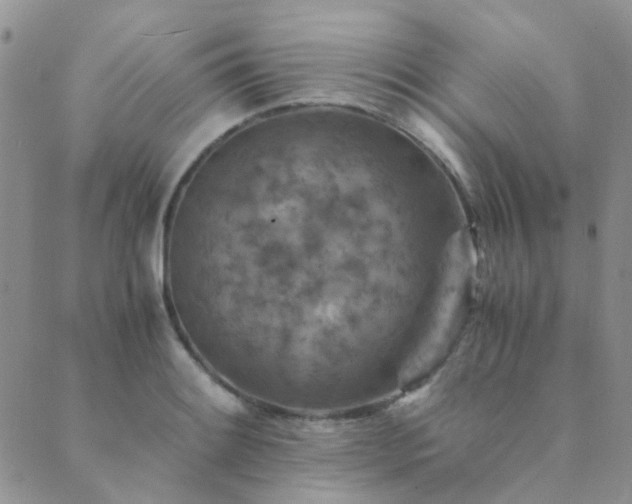 X0000089711084200706211337