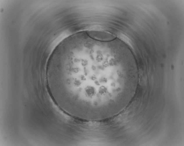 X0000089711087200706211337