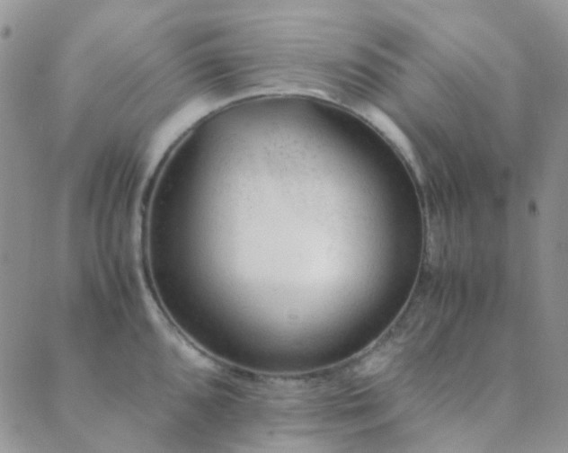 X0000089711096200706211337