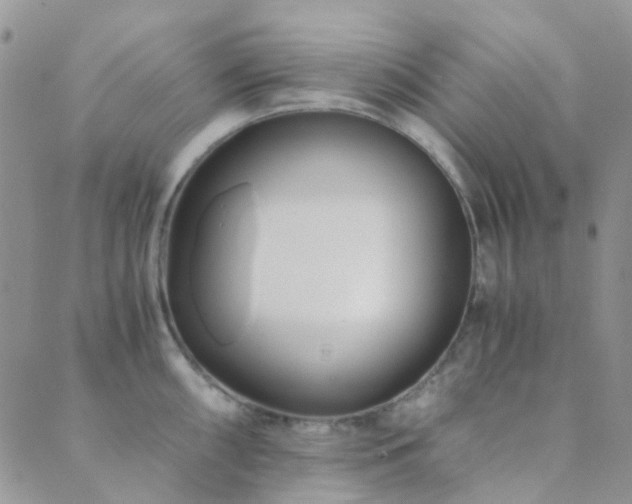 X0000089711098200706211337