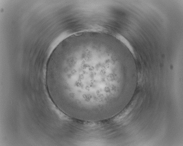 X0000089711099200706211337