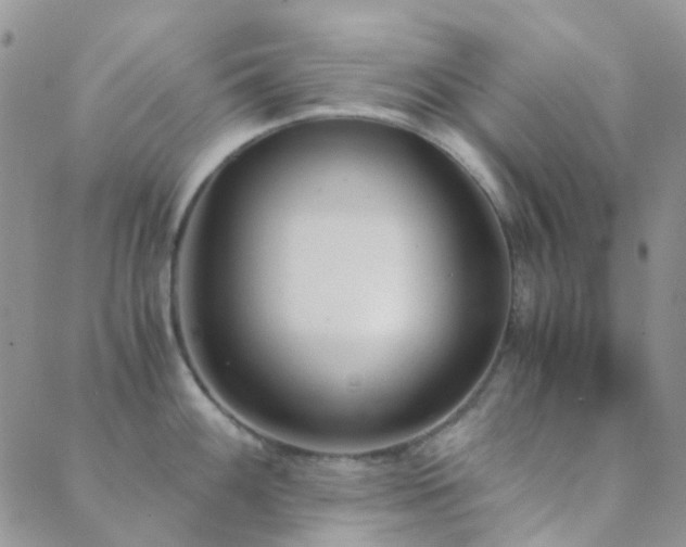 X0000089711100200706211337