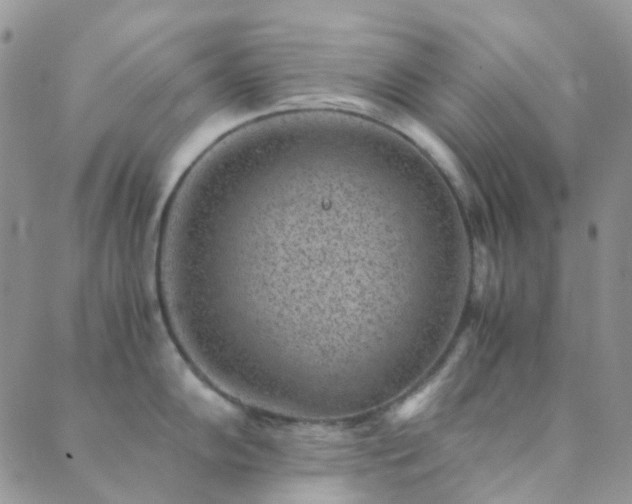 X0000089711102200706211337