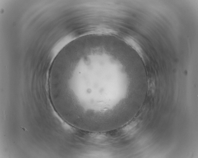 X0000089711103200706211337