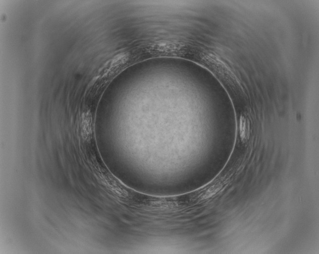 X0000089711107200706211336