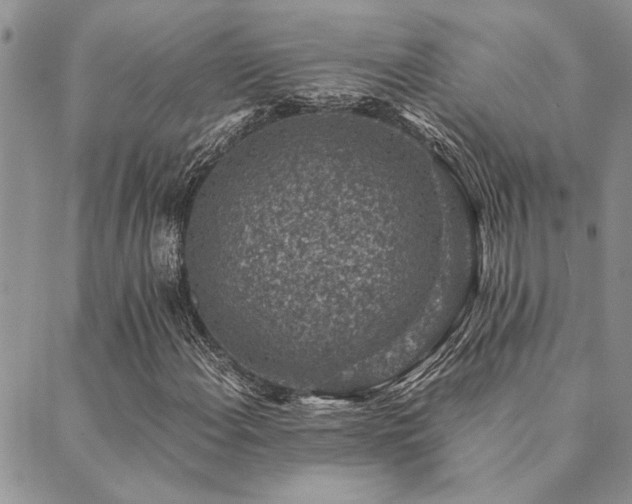 X0000089711108200706211336