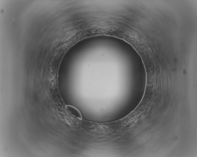 X0000089711109200706211336