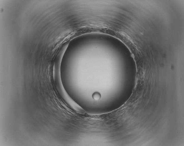 X0000089711110200706211336