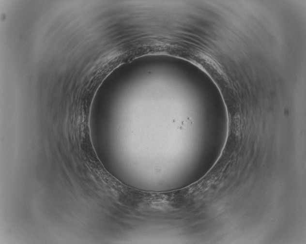 X0000089711111200706211336