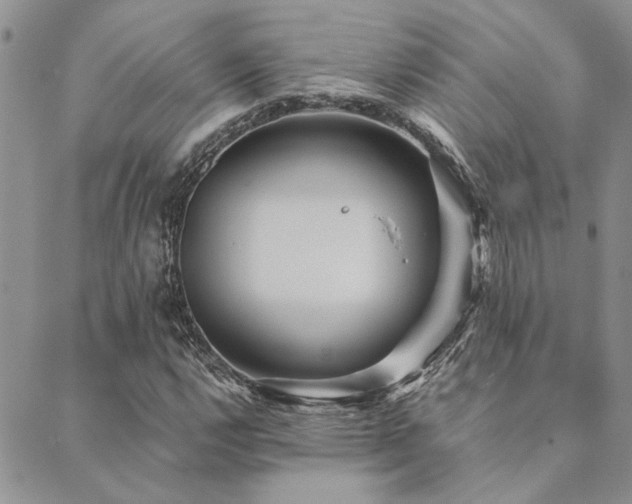 X0000089711112200706211336