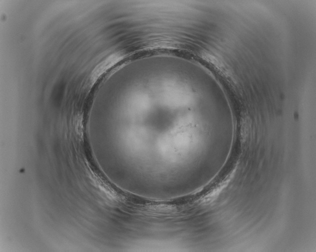 X0000089711113200706211336