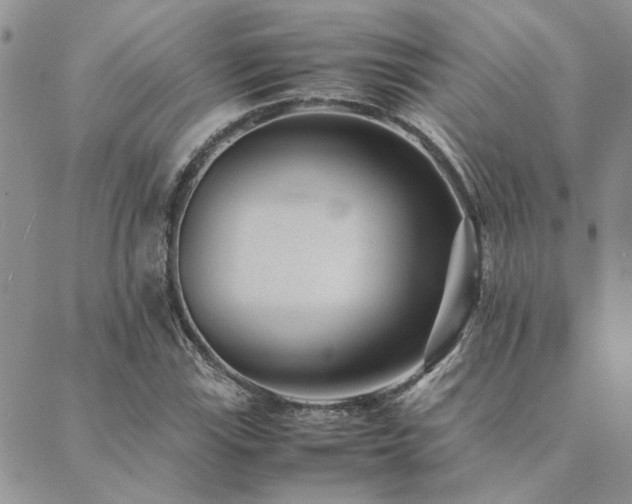 X0000089711115200706211336