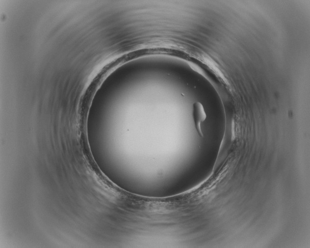 X0000089711116200706211336