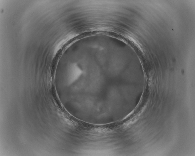 X0000089711117200706211336