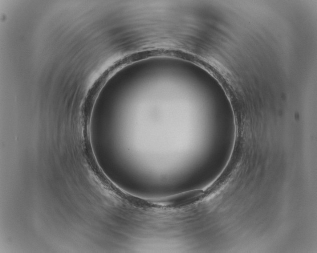 X0000089711118200706211336