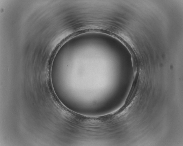 X0000089711119200706211336