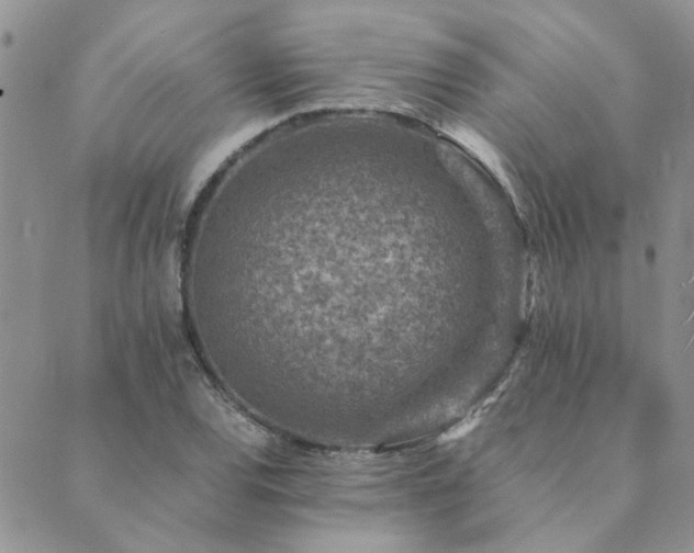 X0000089711120200706211336