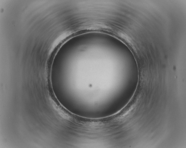 X0000089711122200706211336