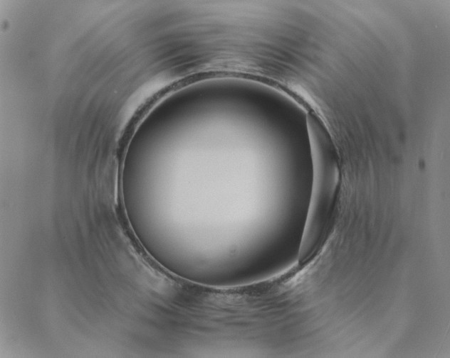 X0000089711123200706211336