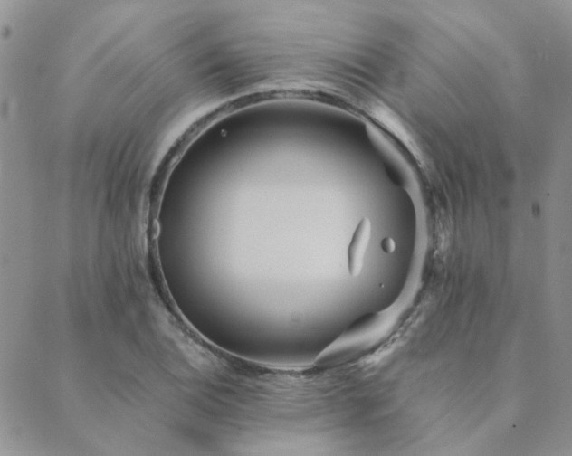 X0000089711124200706211336