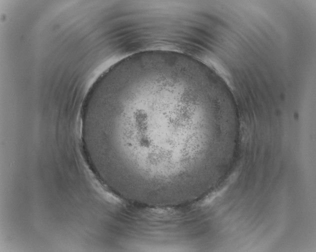 X0000089711125200706211336