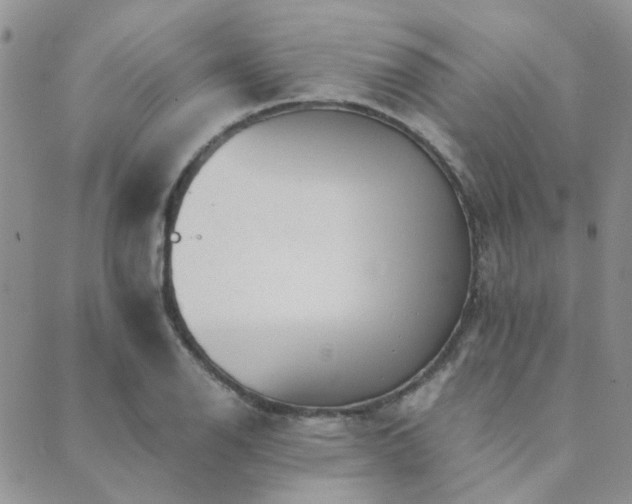 X0000089711126200706211336