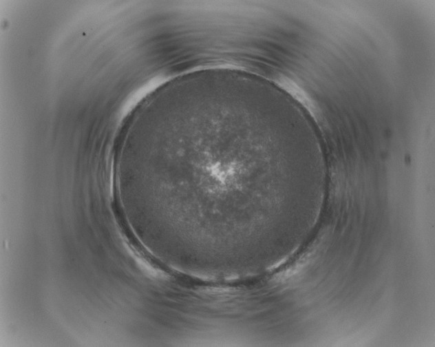 X0000089711127200706211336