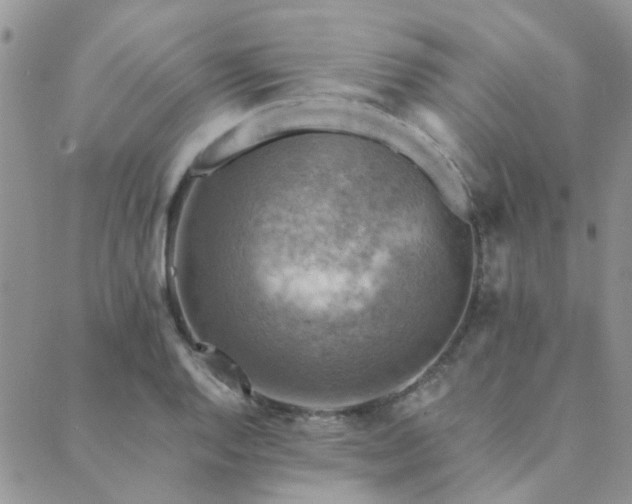 X0000089711128200706211336