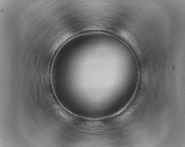 X0000089711129200706211336