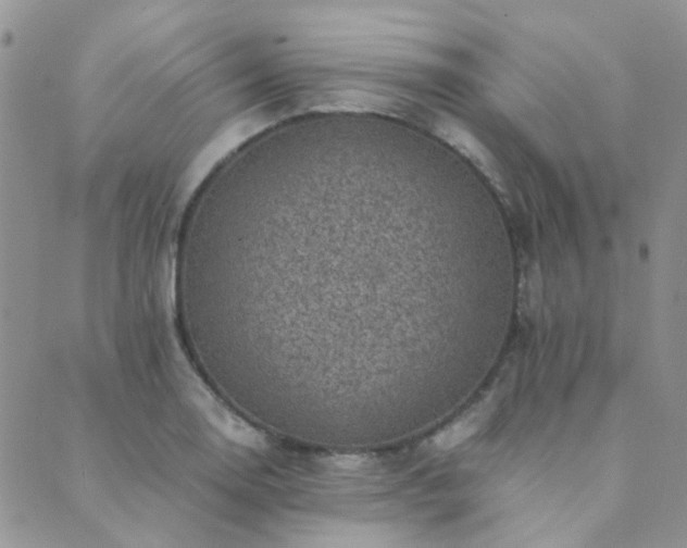 X0000089711130200706211336