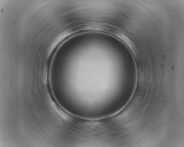 X0000089711131200706211336