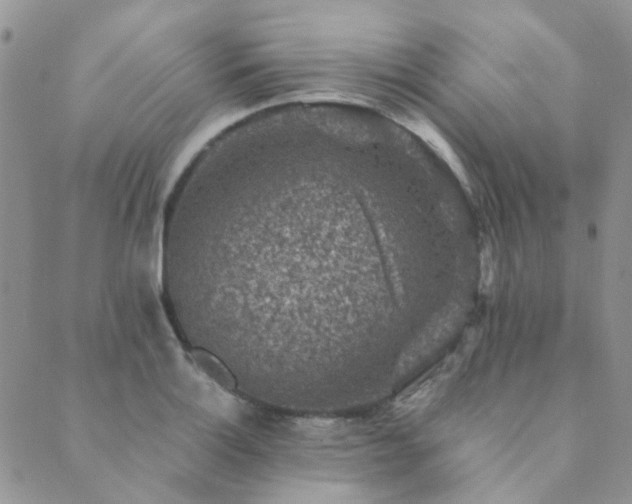 X0000089711132200706211336