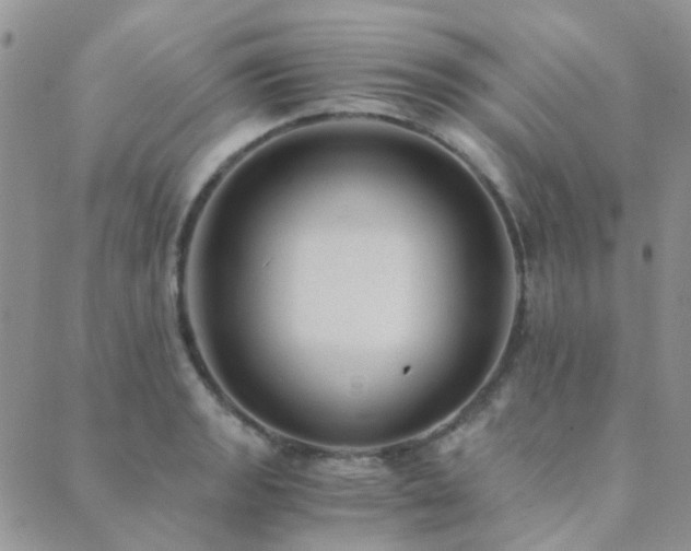 X0000089711133200706211336