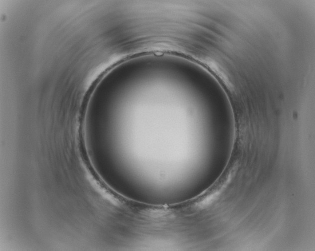 X0000089711134200706211336