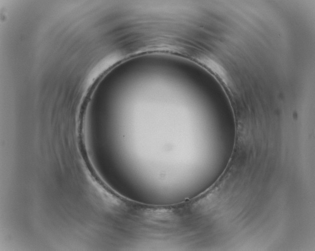 X0000089711135200706211336