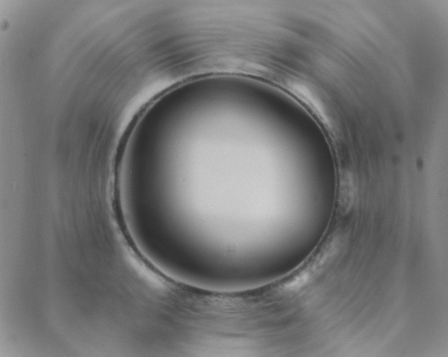 X0000089711136200706211336