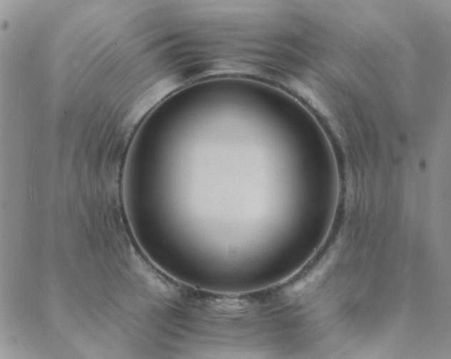 X0000089711137200706211336