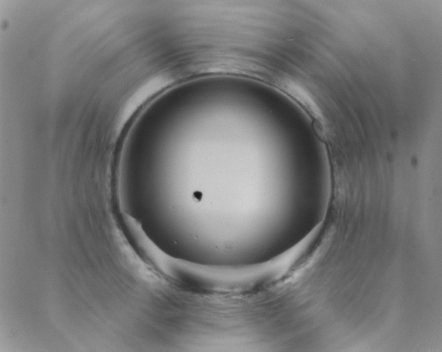 X0000089711138200706211337