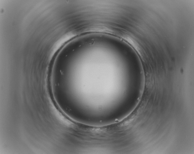 X0000089711139200706211337