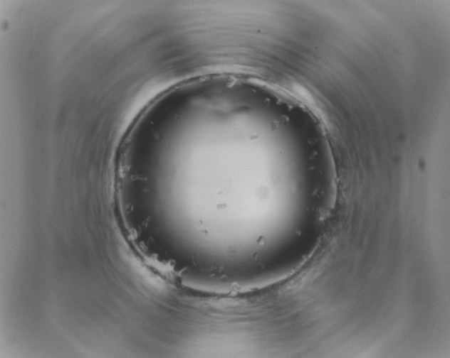 X0000089711140200706211337