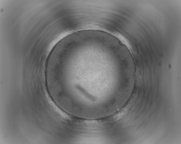 X0000089711142200706211337