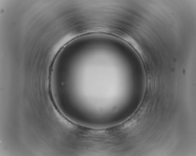 X0000089711143200706211337