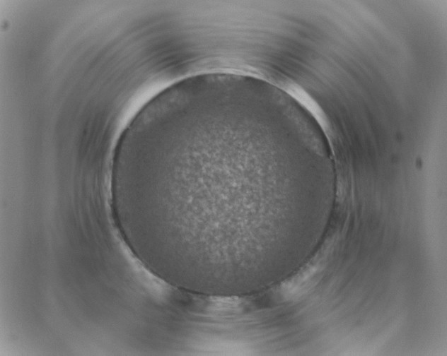 X0000089711144200706211337