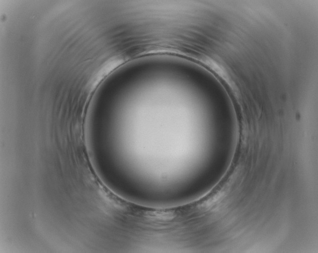 X0000089711145200706211337