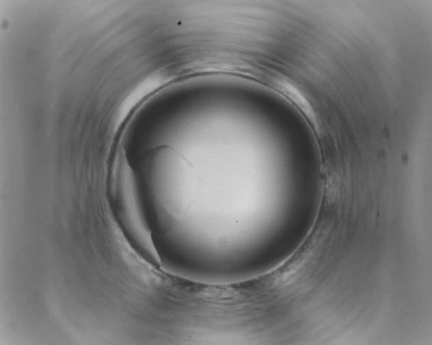 X0000089711146200706211337