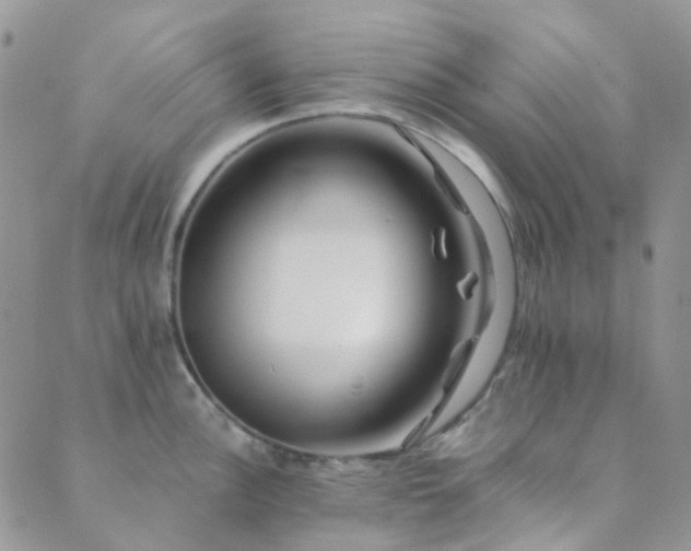 X0000089711148200706211337