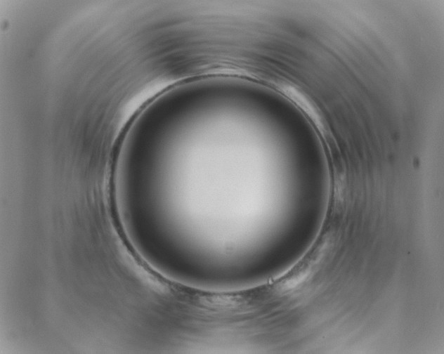 X0000089711149200706211337