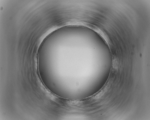 X0000089711150200706211337