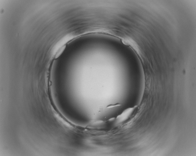 X0000089711151200706211337