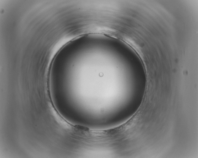 X0000089711152200706211337